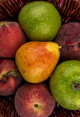 Exportação de Maçãs